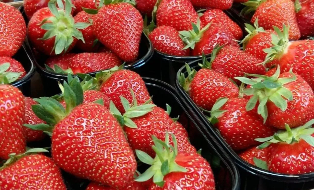 importowane truskawki z zagranicy