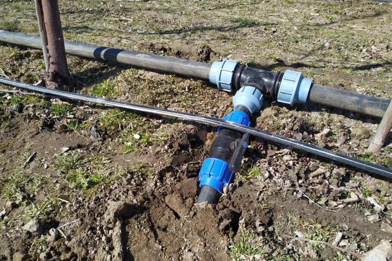 nawodnienie susza 2020