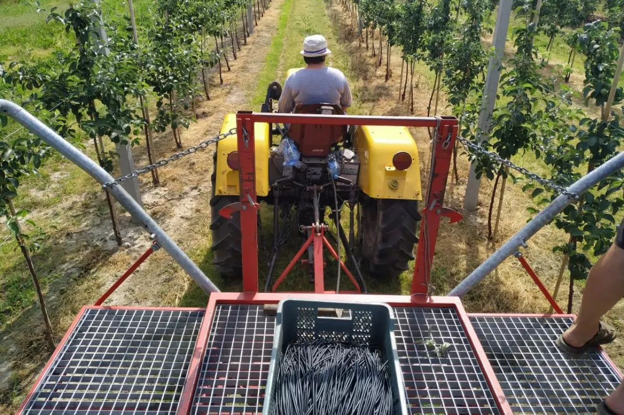 platforma sadownicza