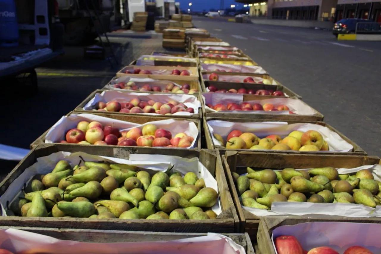 zjazdowa rynek w lodzi