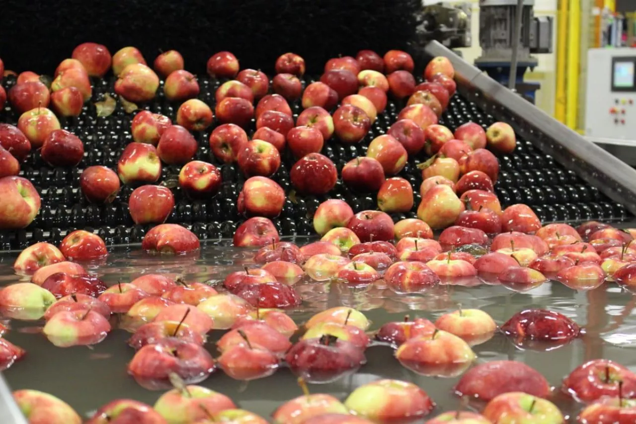 deficyt siły roboczej na sortowniach