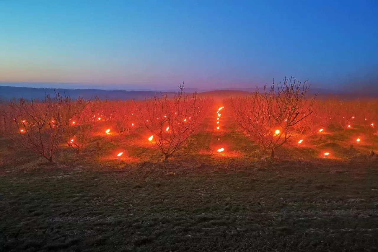 przymrozki na wegrzech