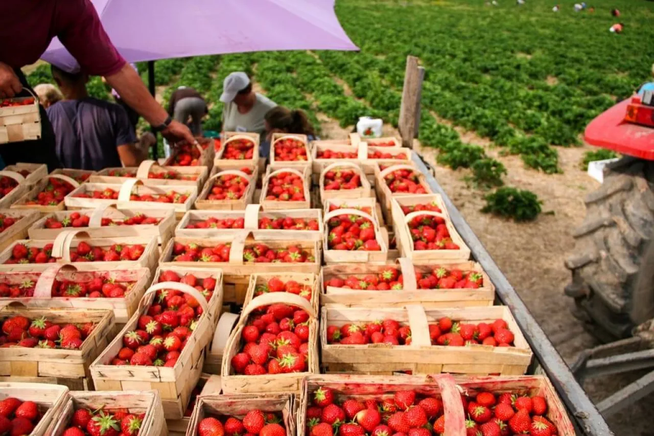 koronawirus a pracownicy