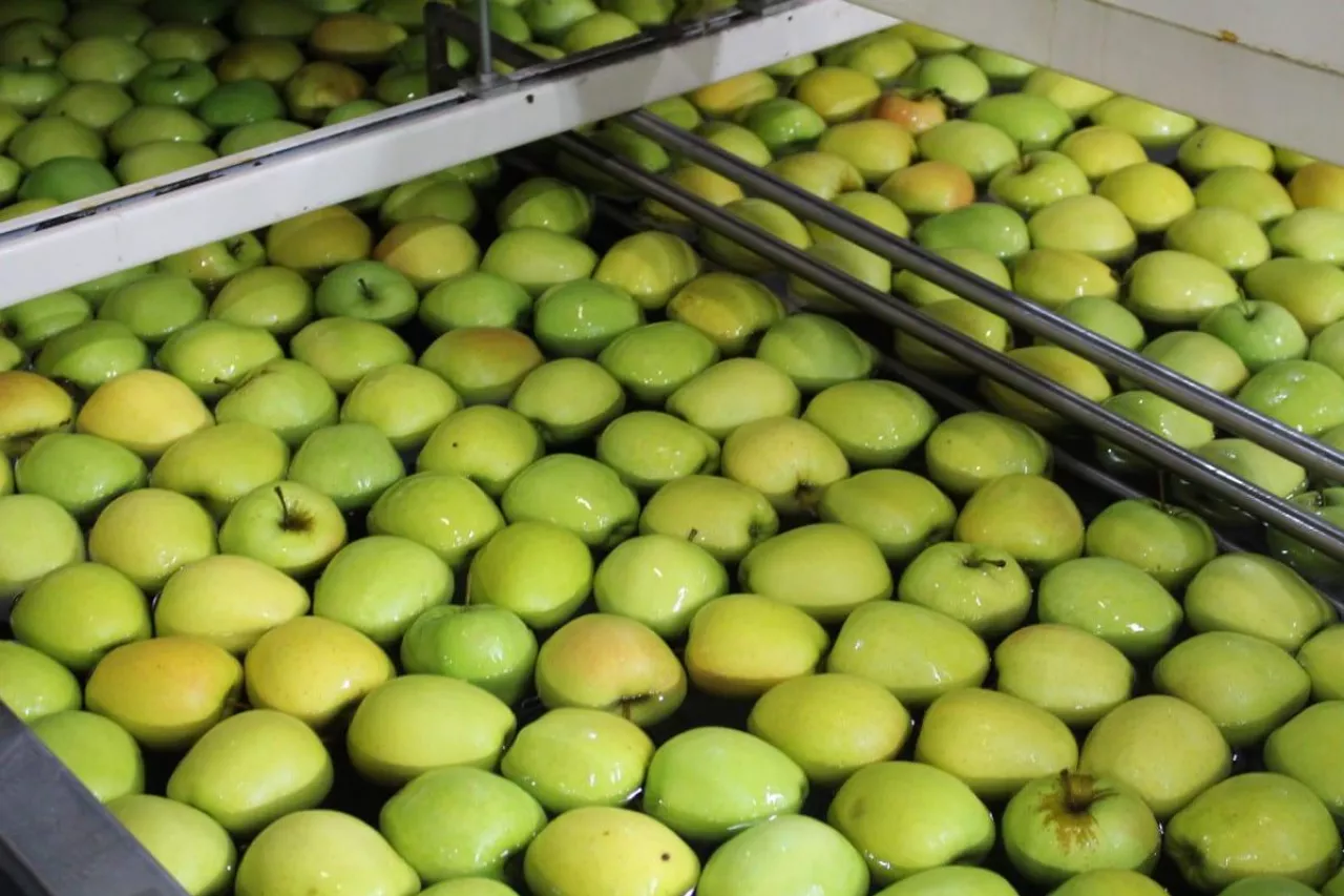 ceny jabłek deserowych 2020