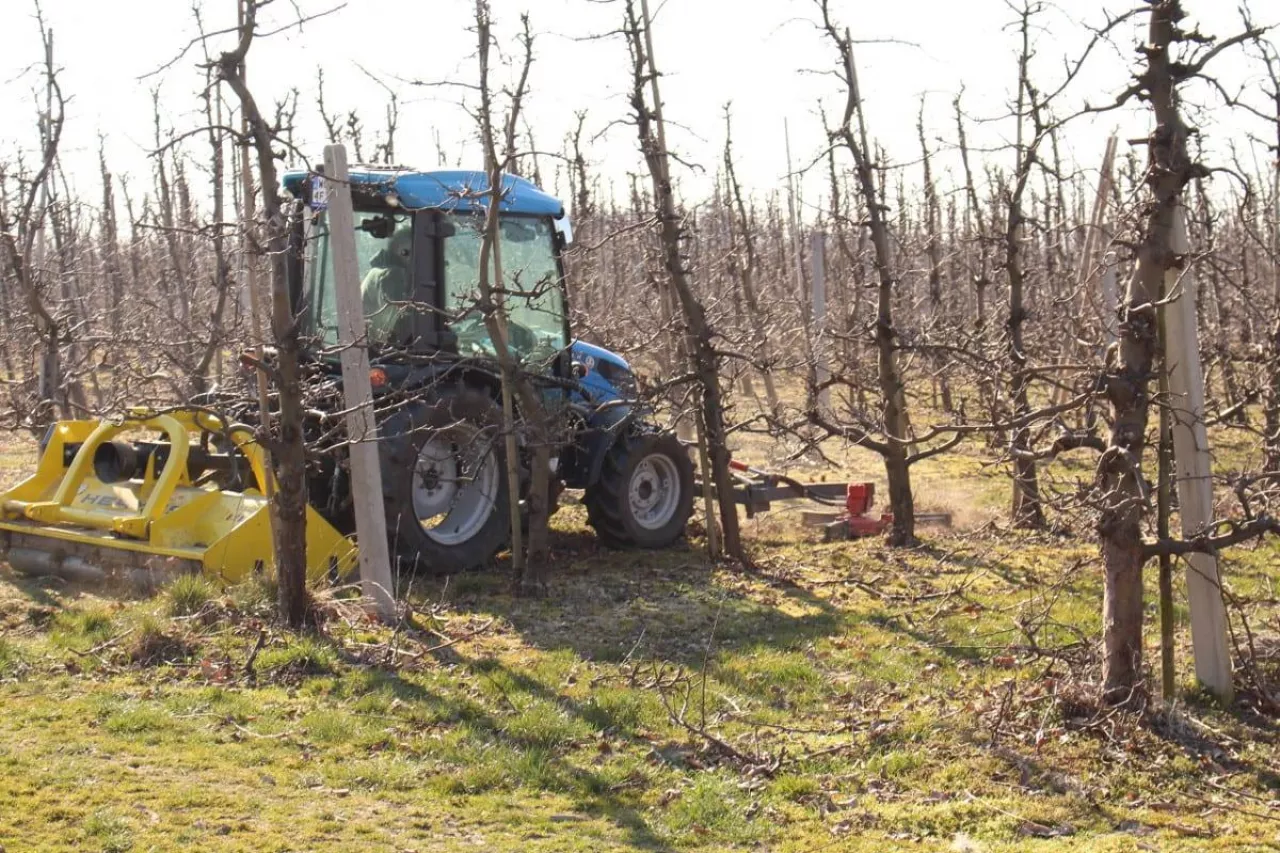 sadownicza tarcza antykryzysowa
