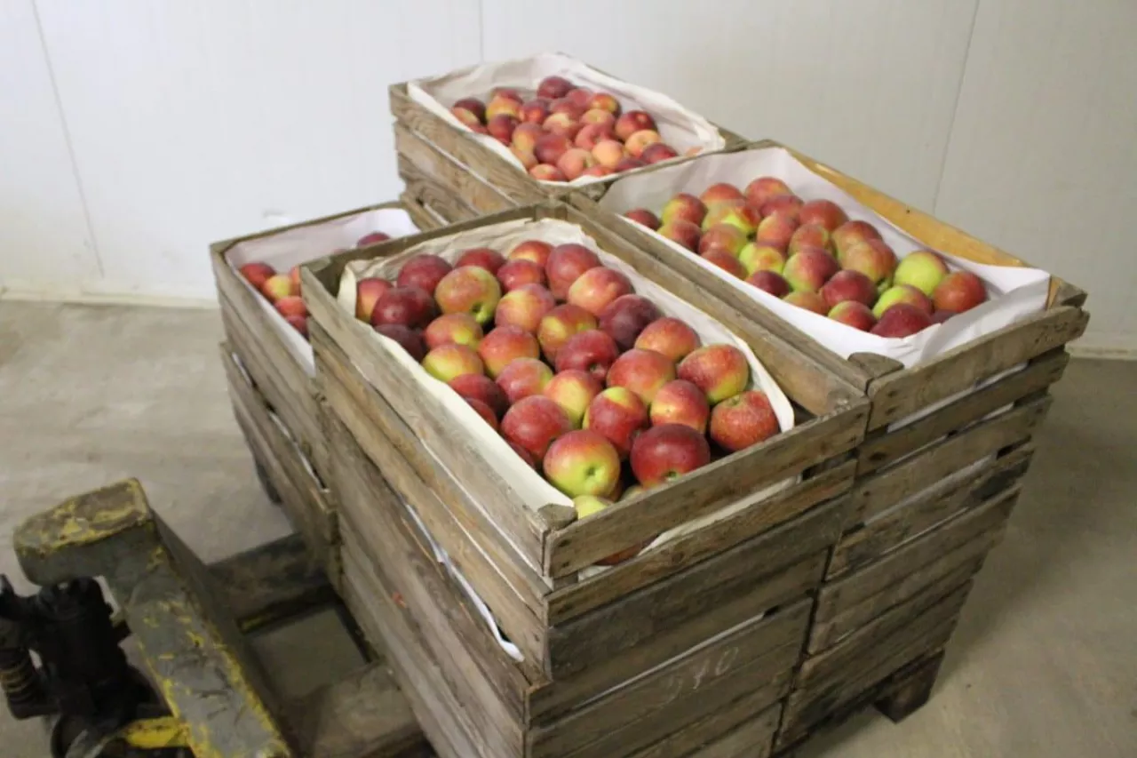 zalecenia gis dla rolników sprzedających na targowiskach