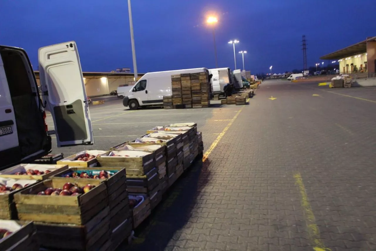 handel jabłkami na broniszach