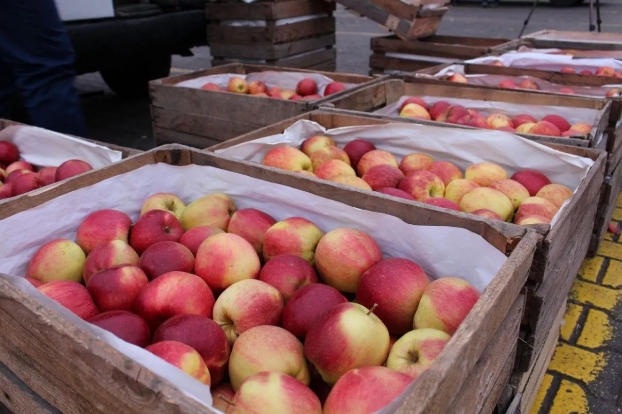 jabłka na rynku hurtowym w broniszach