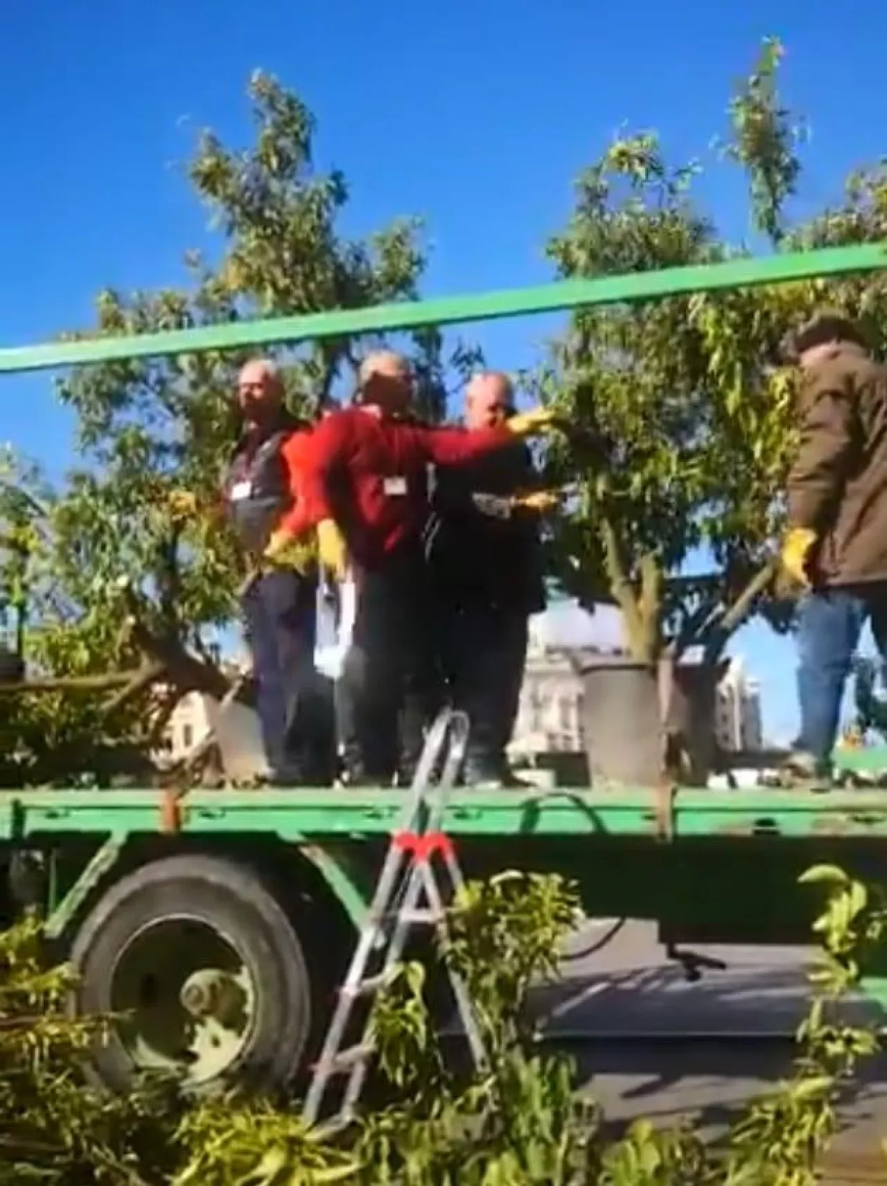 Protesty hiszpańskich sadowników - 15 luty 2020