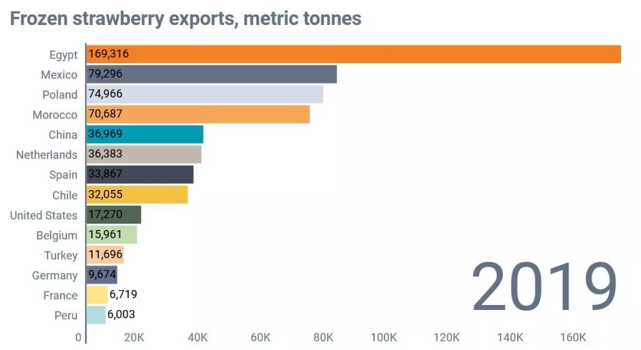 Wysokie ceny egipskich truskawek zrodlo Global Trade Tracker