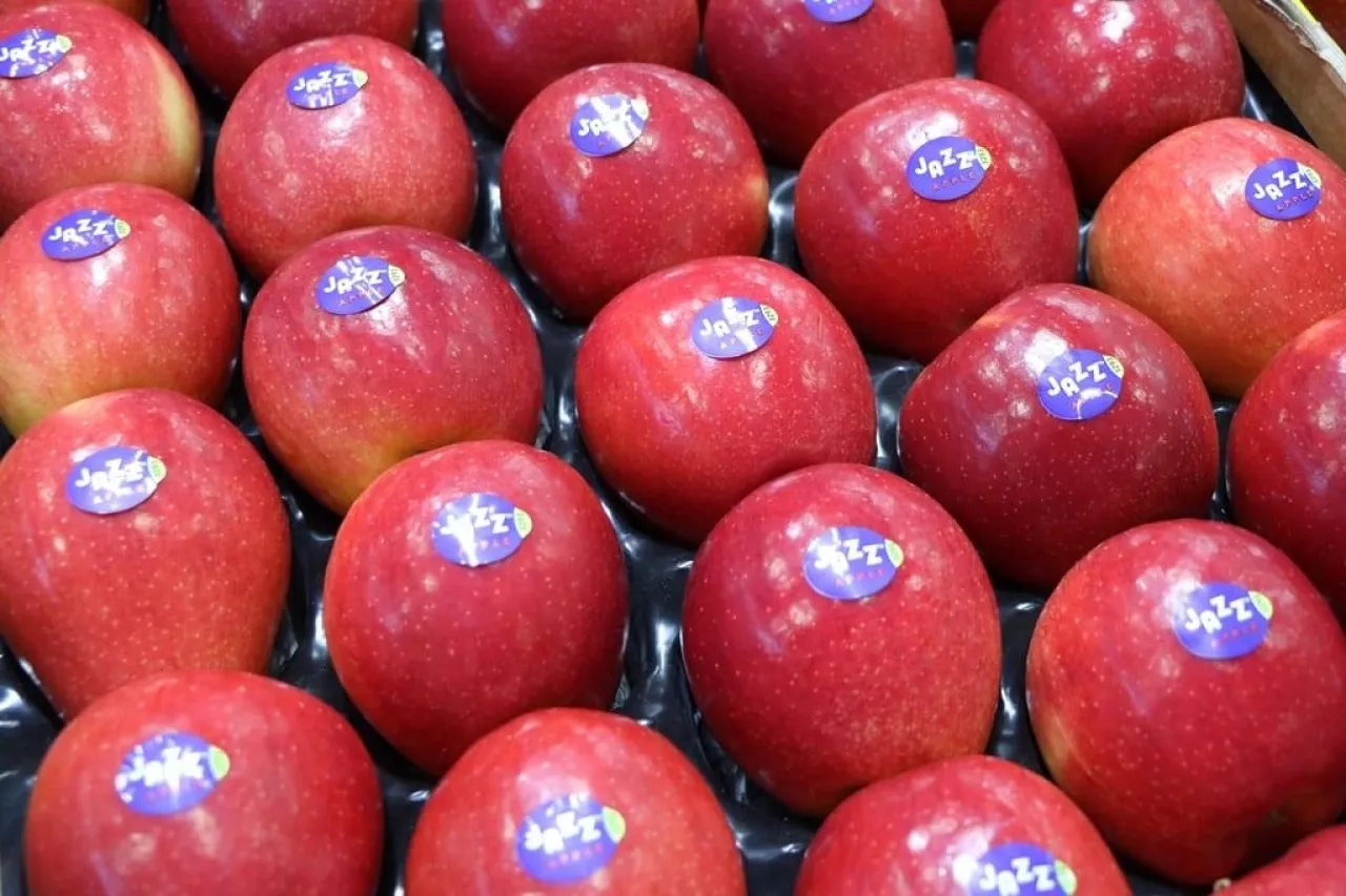 Jabłka Jazz - odmina klubowa