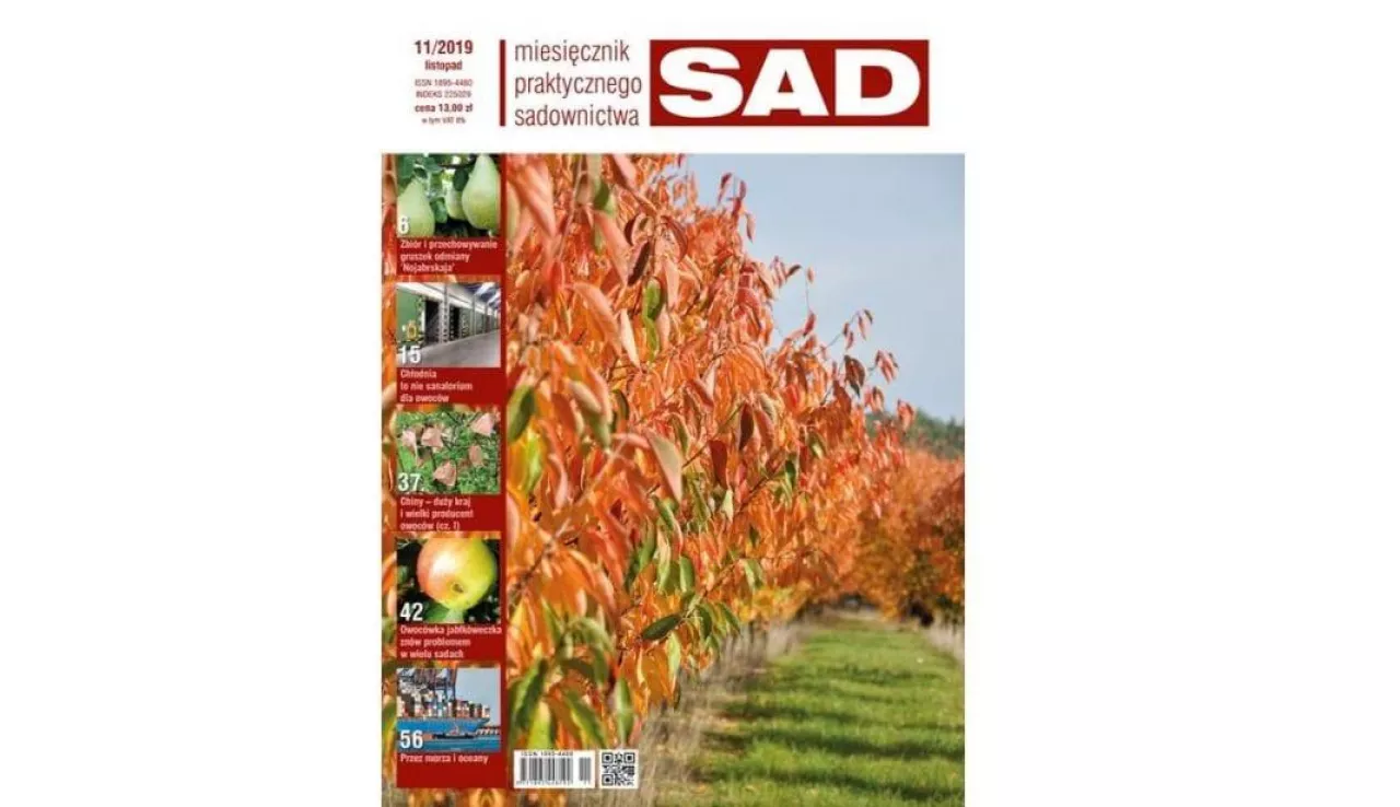 MPS Sad numer 11/2019 - zapowiedź