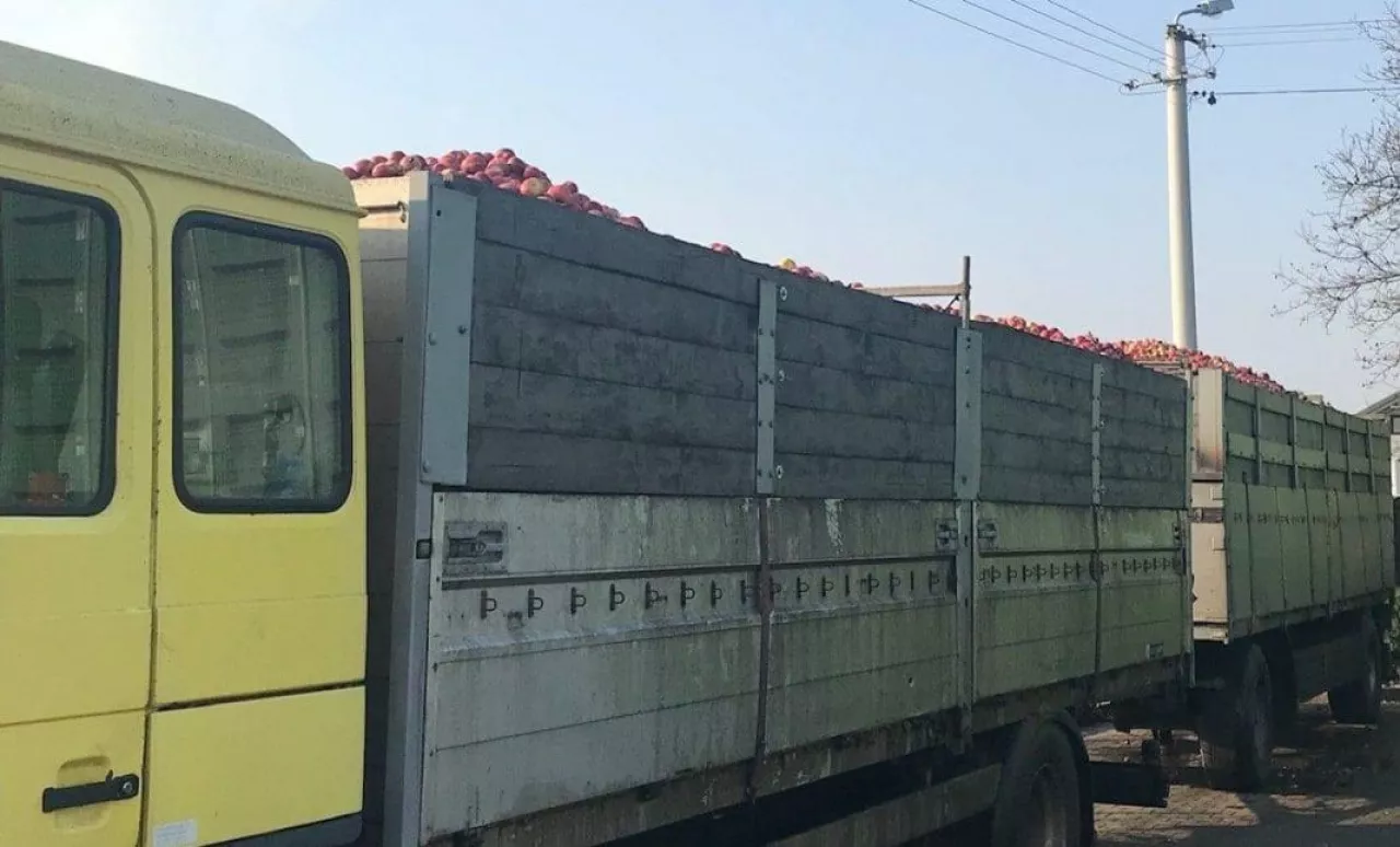 Jabłka przemysłowe na samochodzie dostawczym