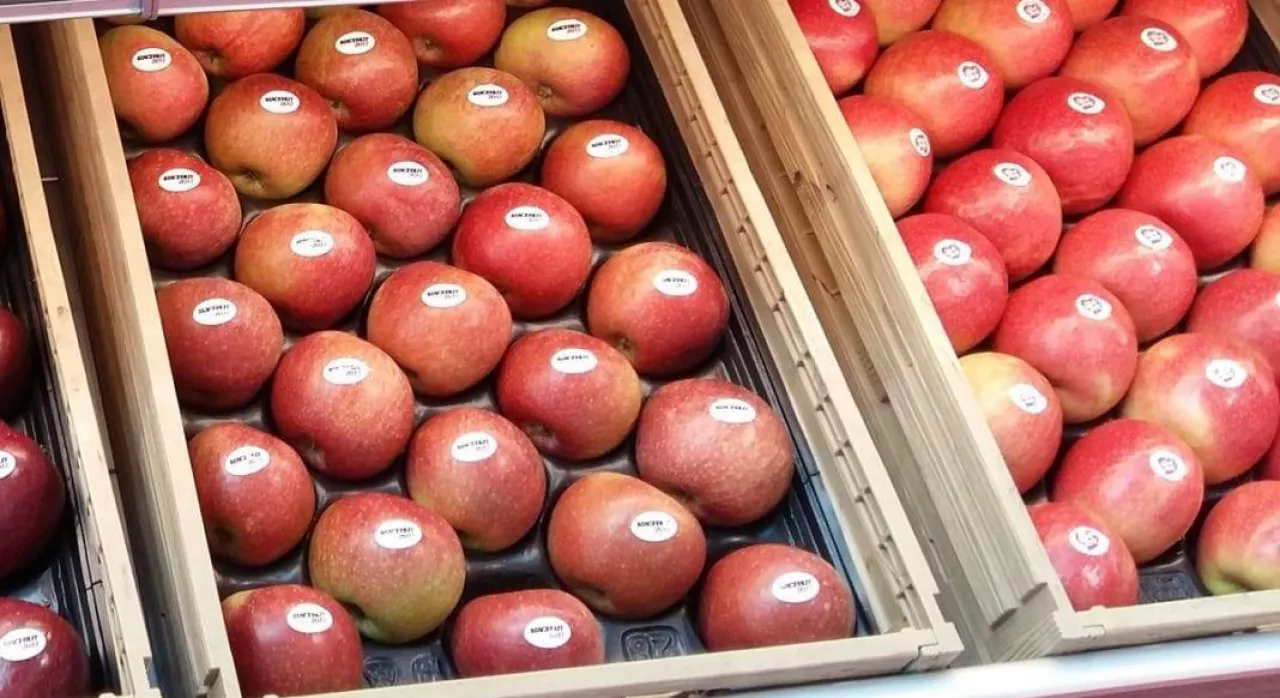 Jabłka w supermarkecie