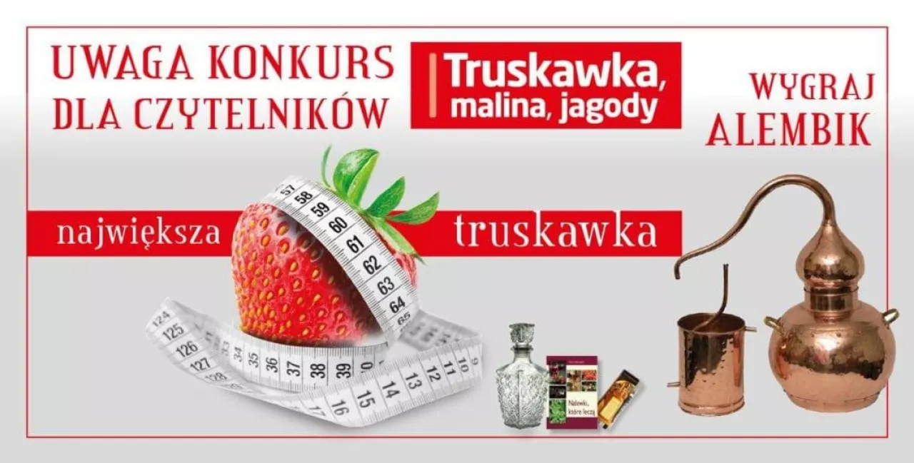 Konkurs truskawkowy