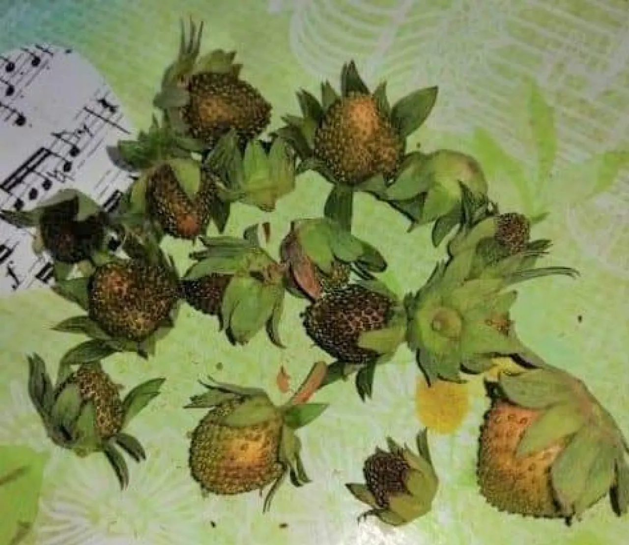 fot. Jacek Witkowski