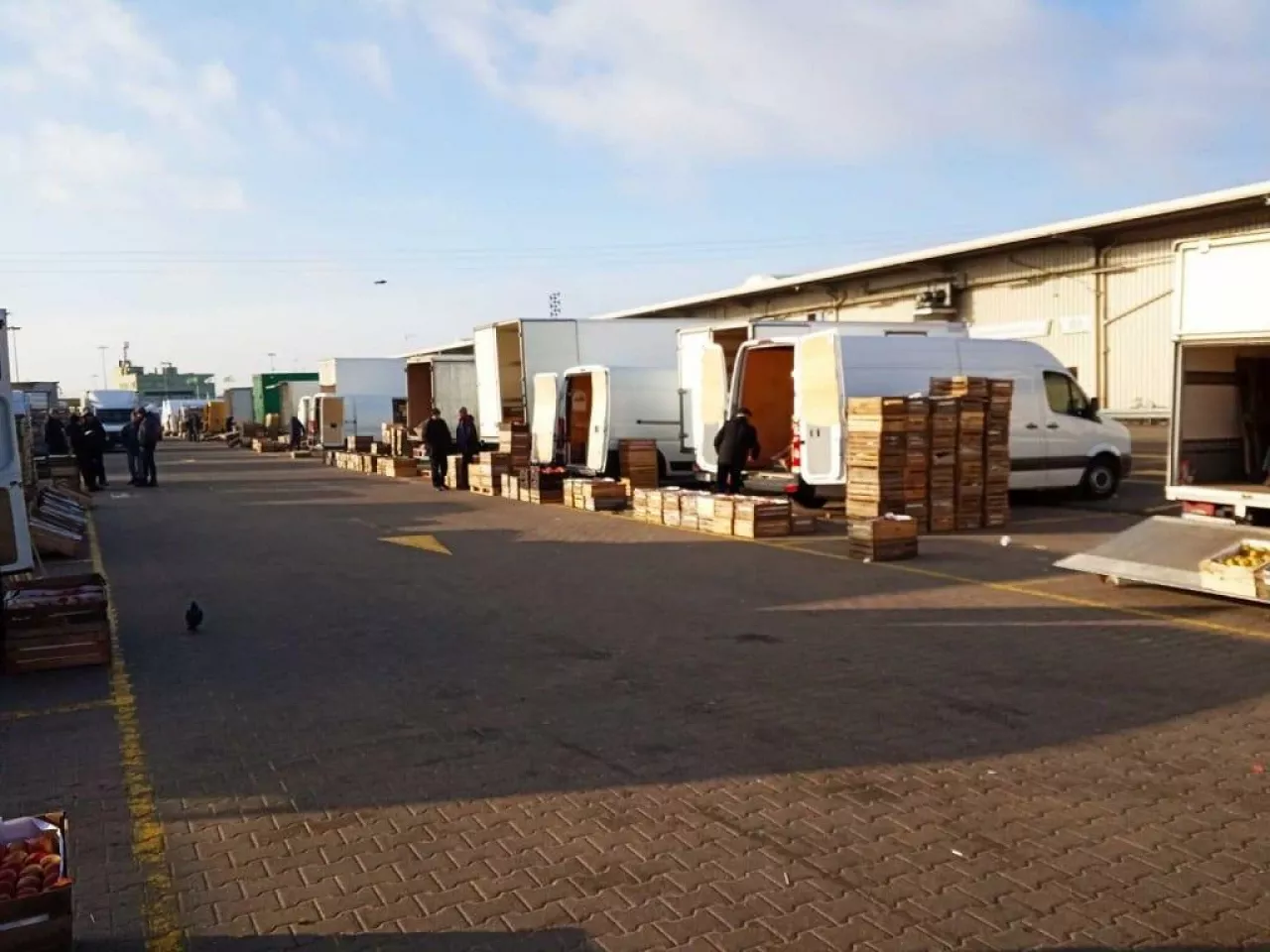 Hurtowe ceny jabłek - Bronisze 2019