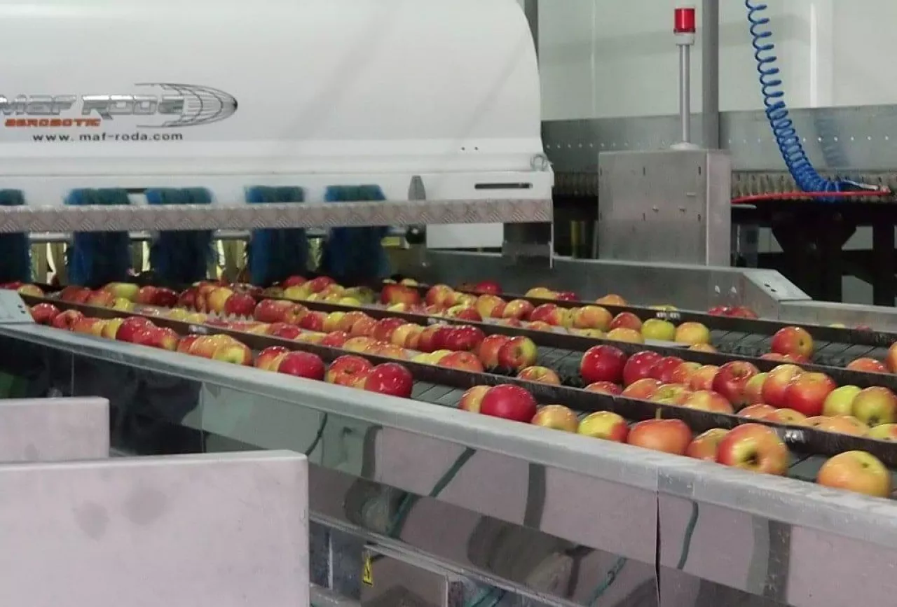 Wsparcie na tworzenie grup i organizacji producentów