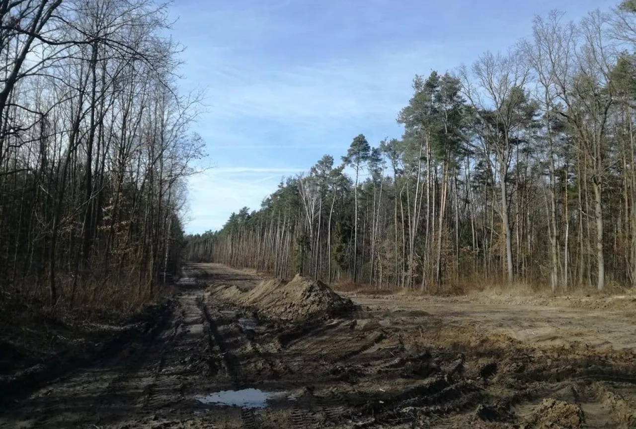 Ruszyła budowa nowego zakładu T.B. Fruit