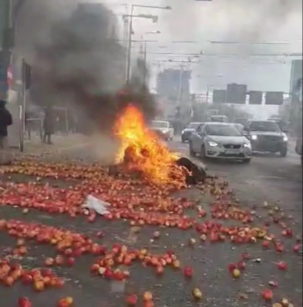 A u nas na Placu Zawiszy staruszka zbiera jabłka do reklamówek…
