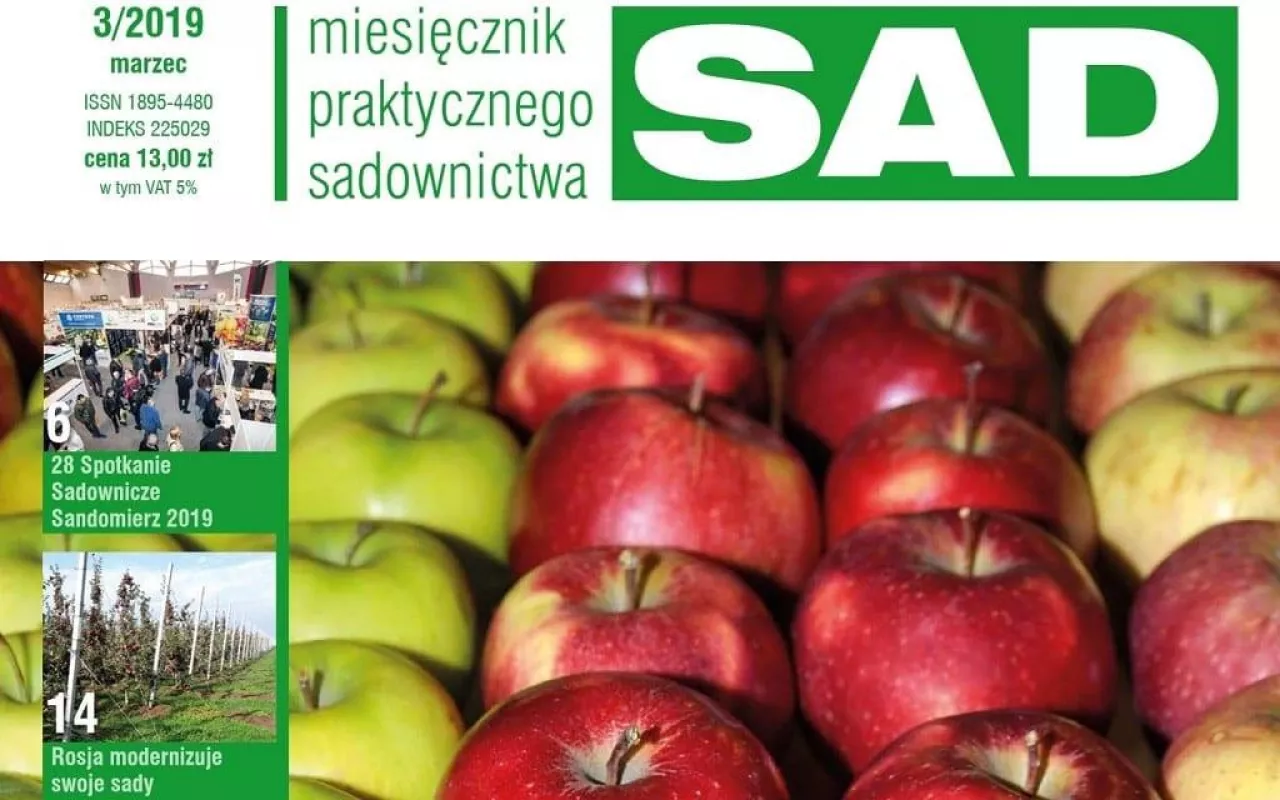MPS SAD numer 3/2019 - okładka