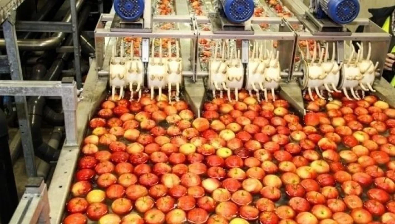 Przetwórstwo jabłek