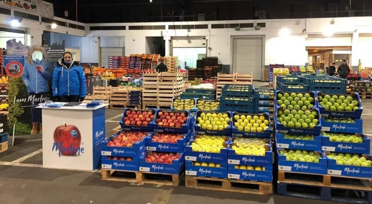 Promocja po wlosku - MARLENE®