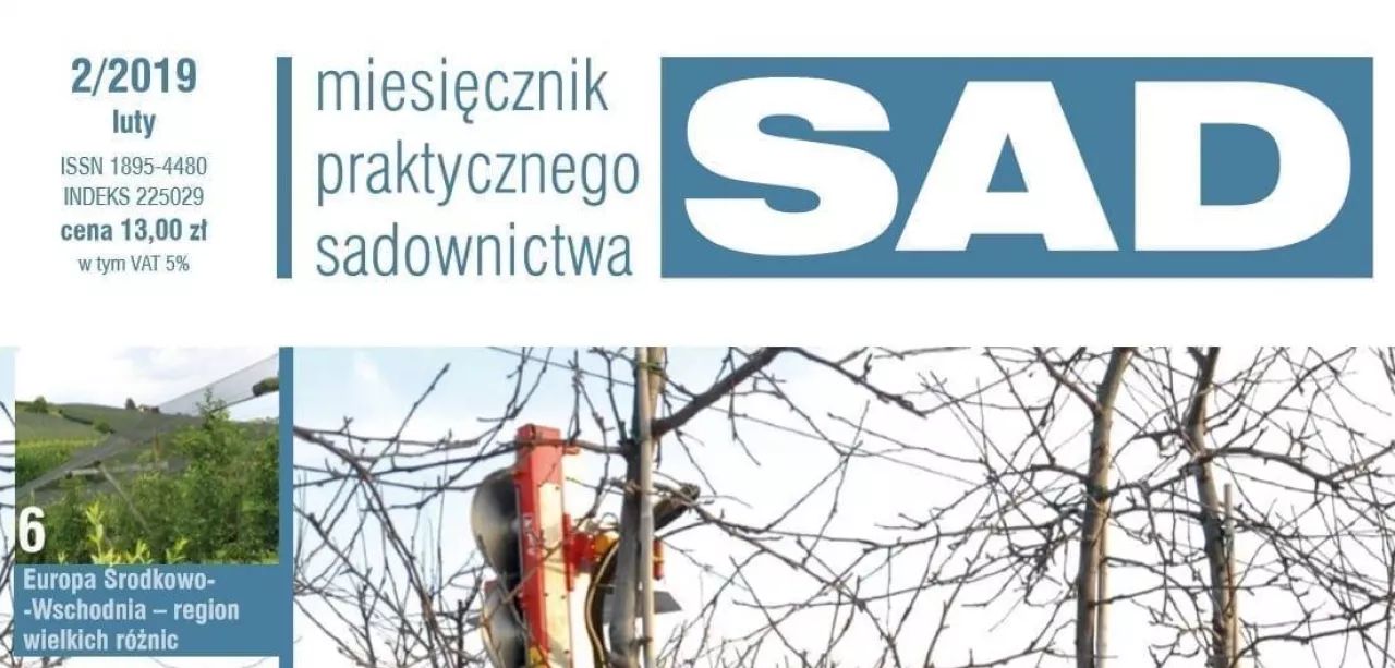 MPS Sad numer 2/2019