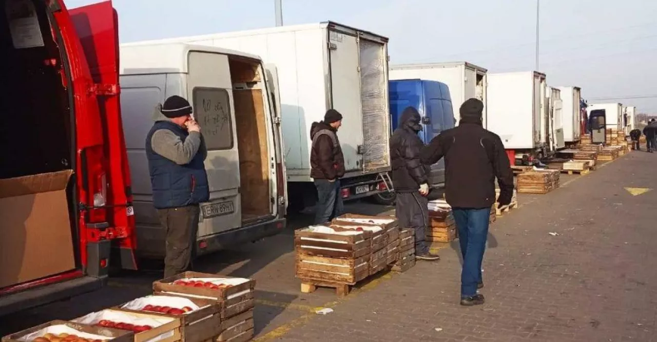 Ceny jabłek WRSRH Bronisze styczeń 2019