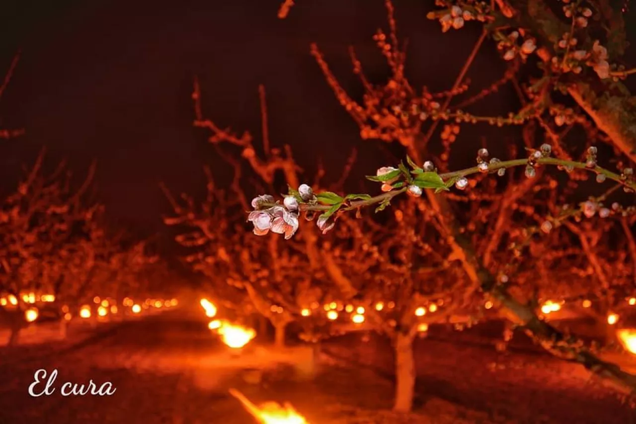 fot. A.M.Saorina (profil Facebook)