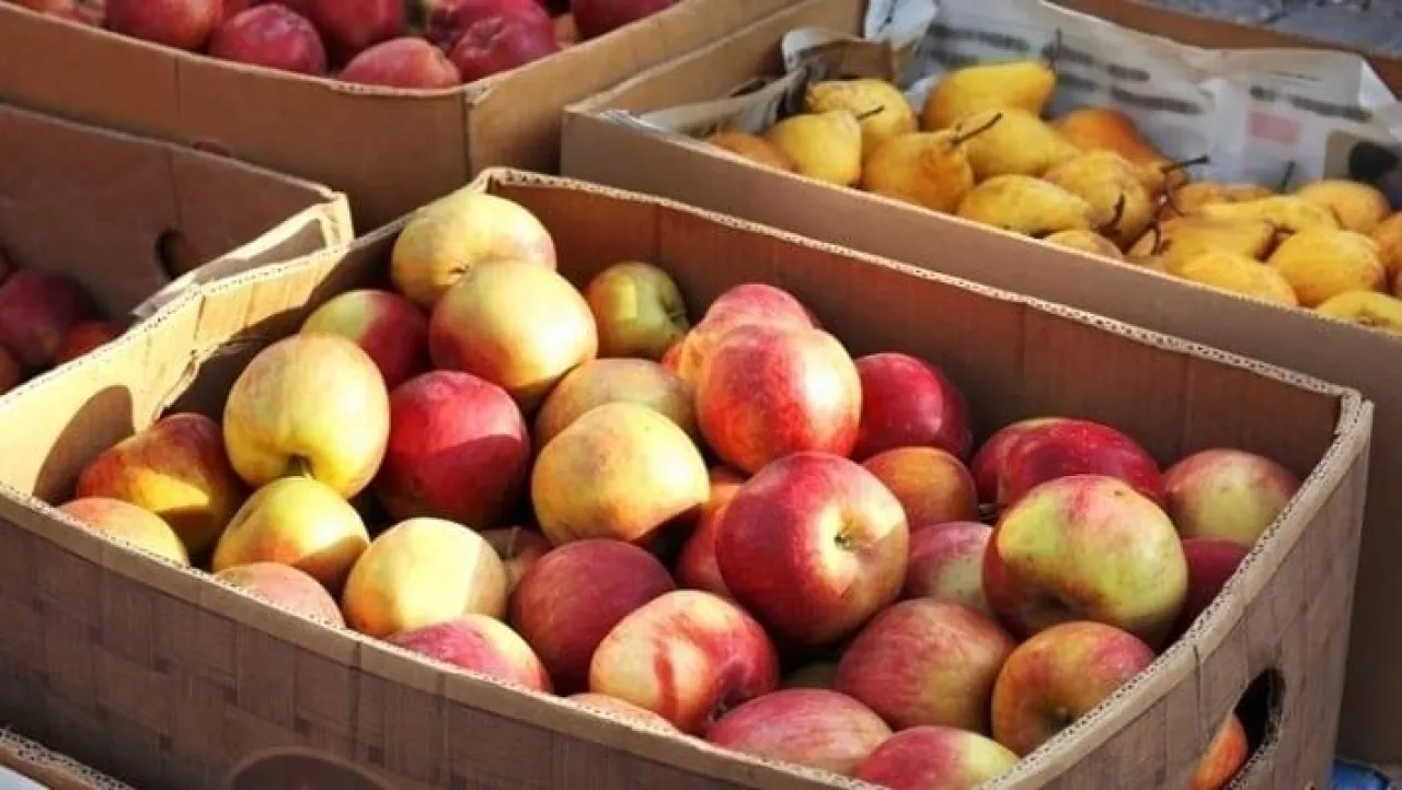 Ceny jabłek na Ukrainie