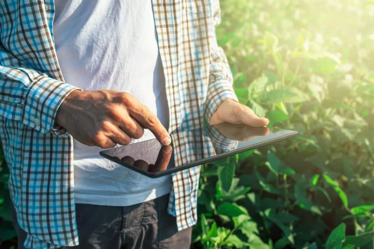 Farmer using digital tablet computer in cultivated soybean crops field, modern technology application in agricultural growing activity, selective focus