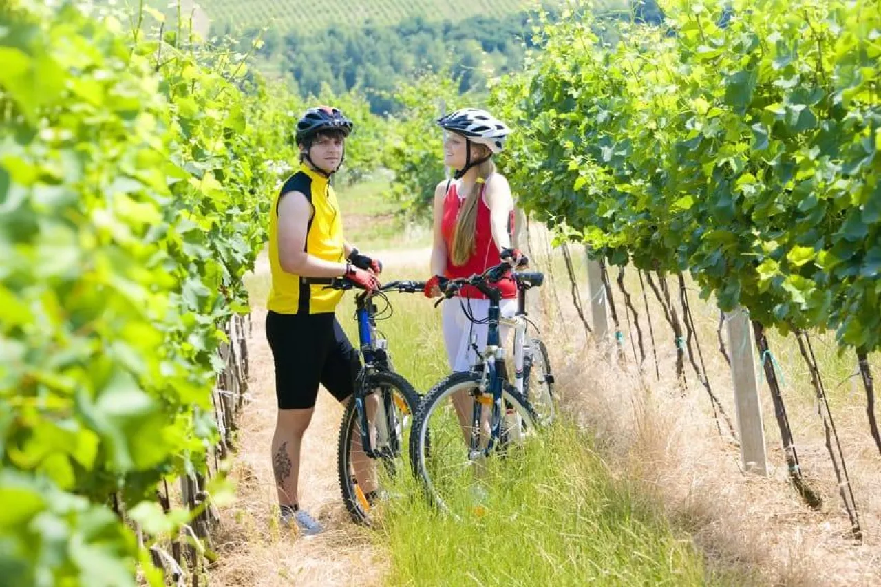 bikers in vineyard, Czech Republic