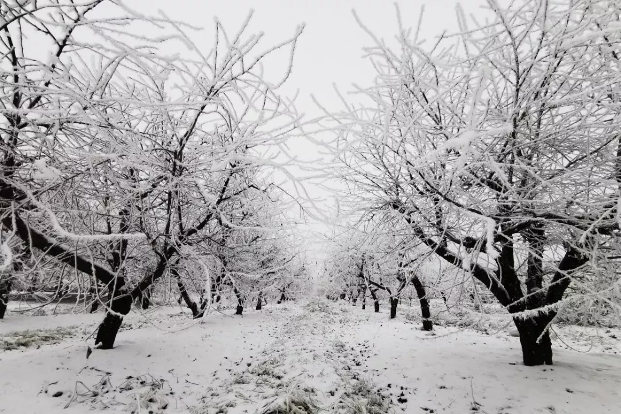 zima stopniowa odwilz