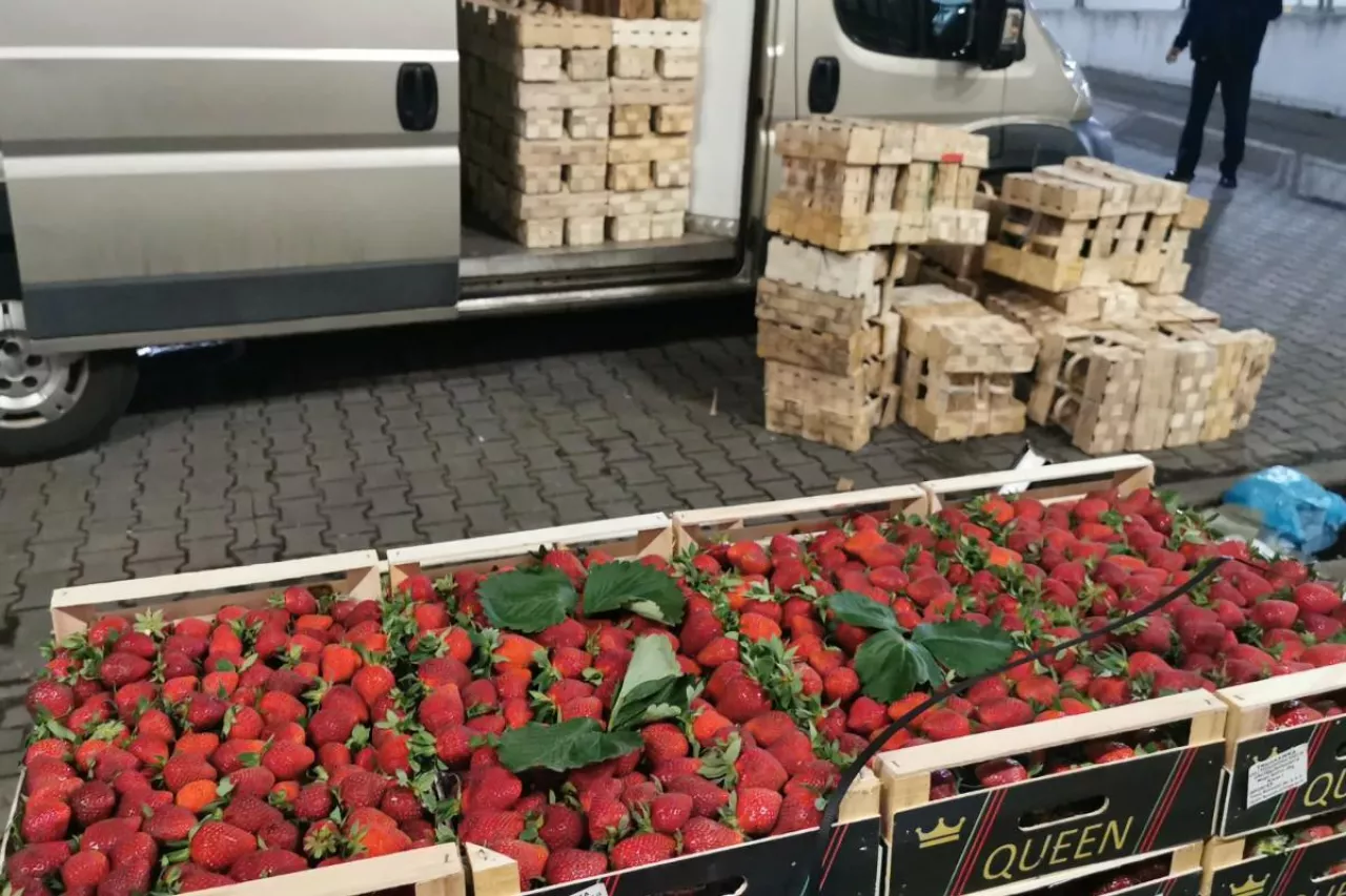 grecka truskawka udaje polską