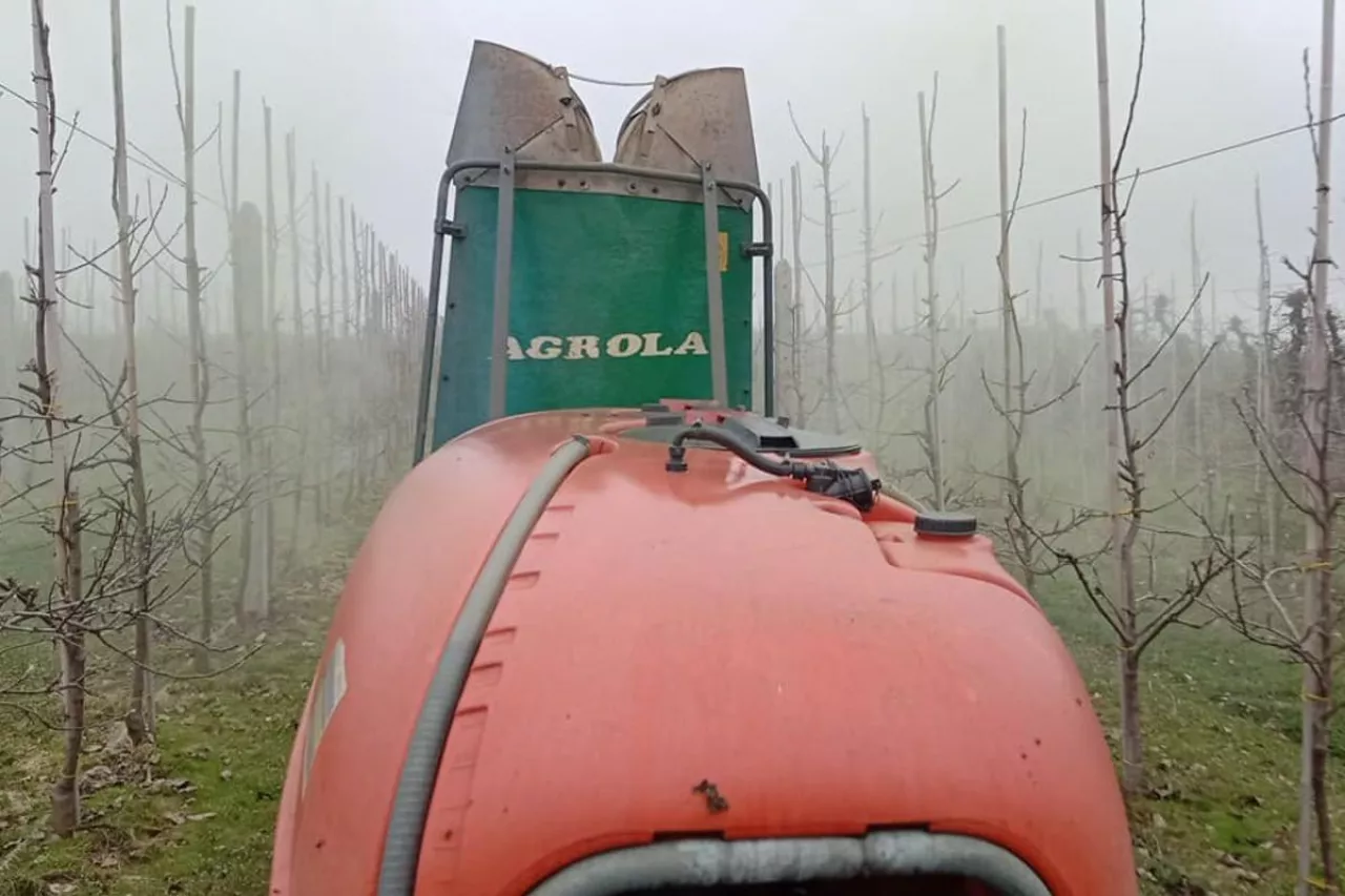 ochrona przed parchem