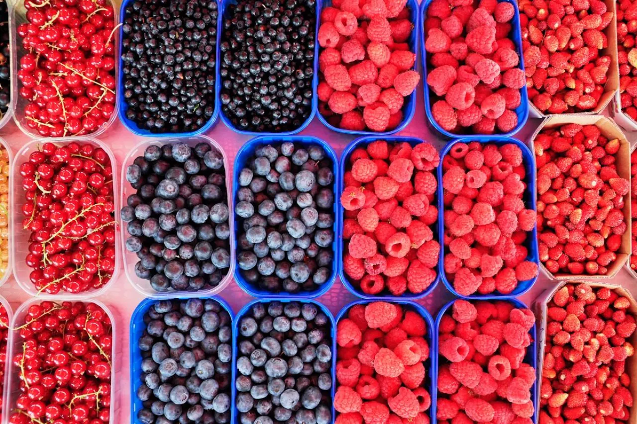 owoce jagodowe