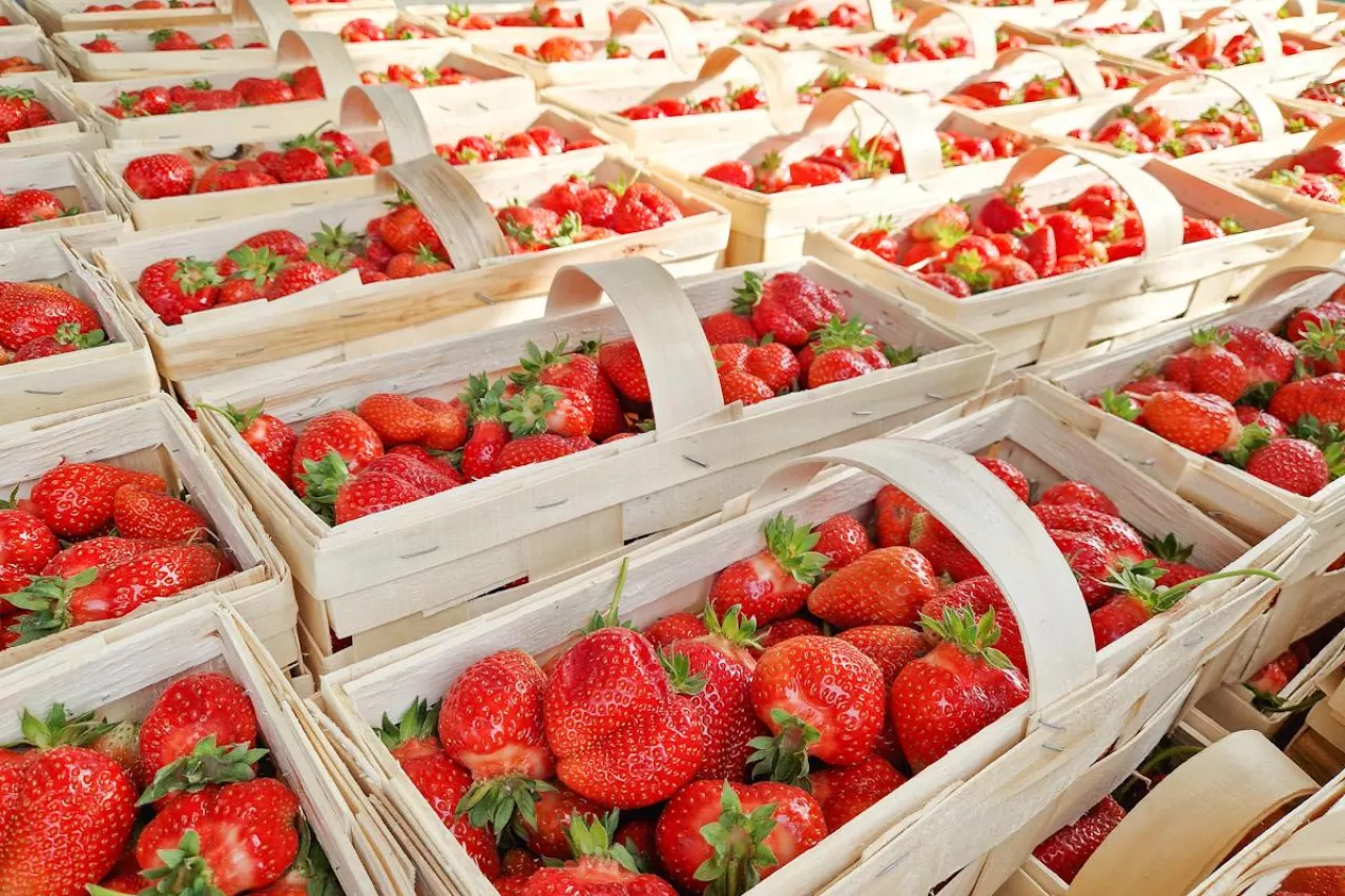 truskawki na rynku