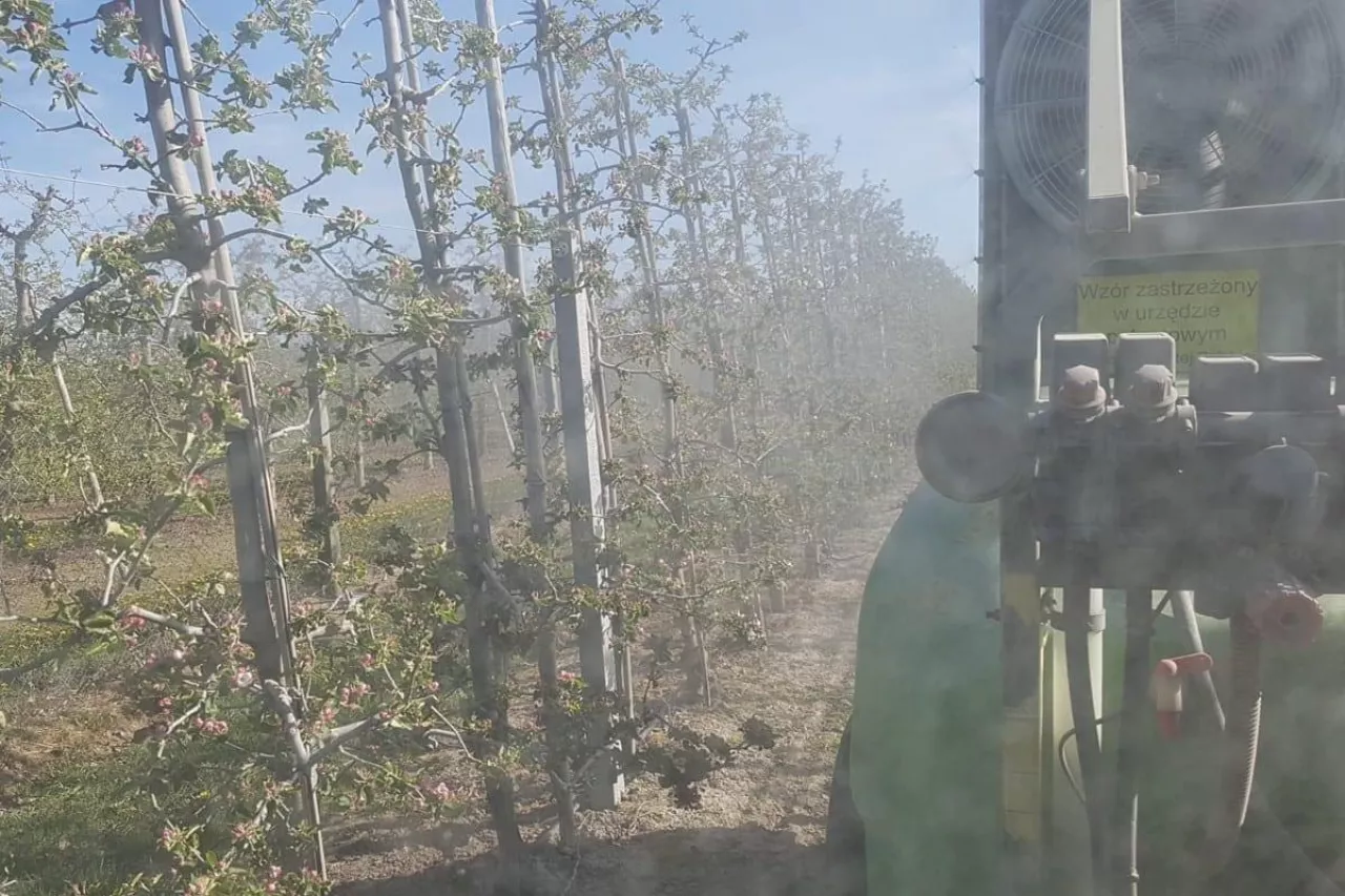 oprysk na parcha 2020