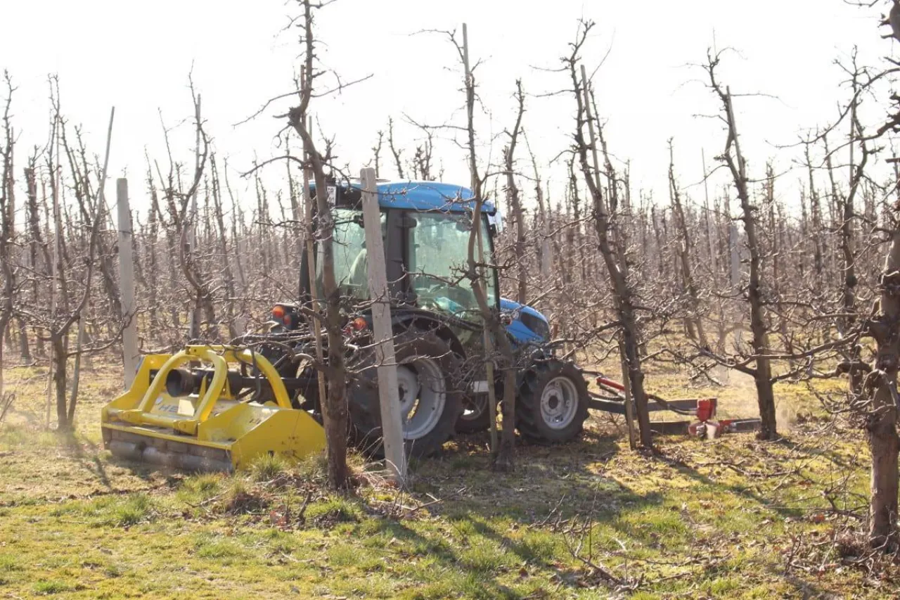 używany ciągnik sadowniczy