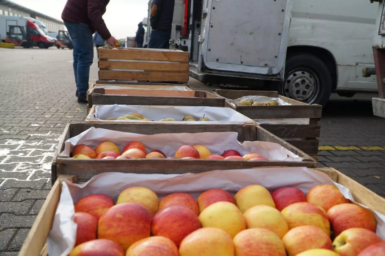 ceny jabłek na broniszach