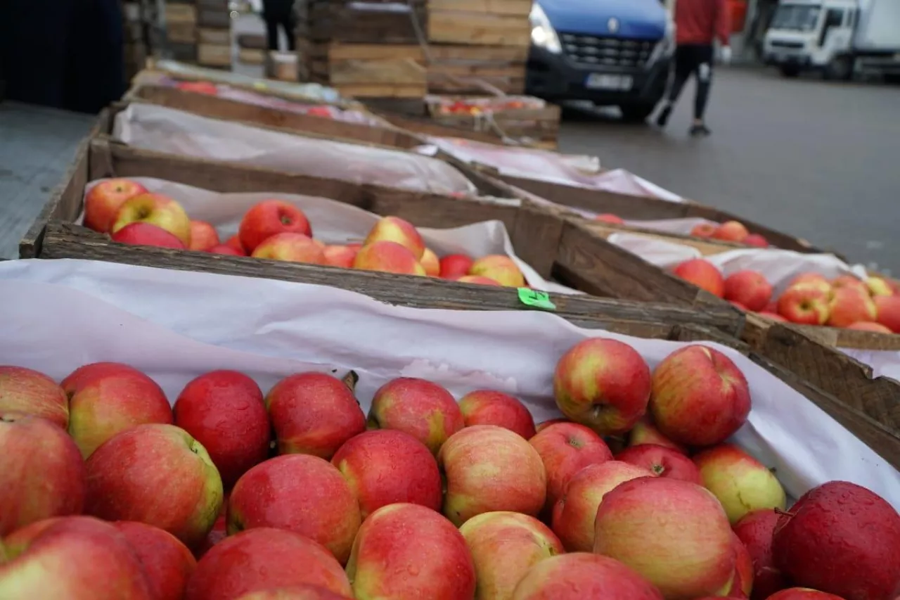 targowisko miejskie w sandomierzu