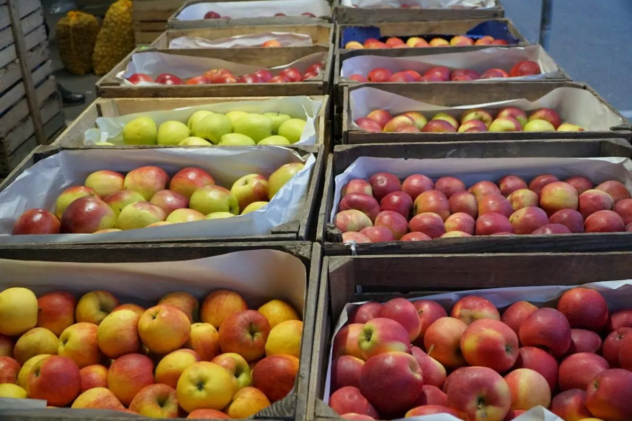 rynek hurtowy w gdańsku