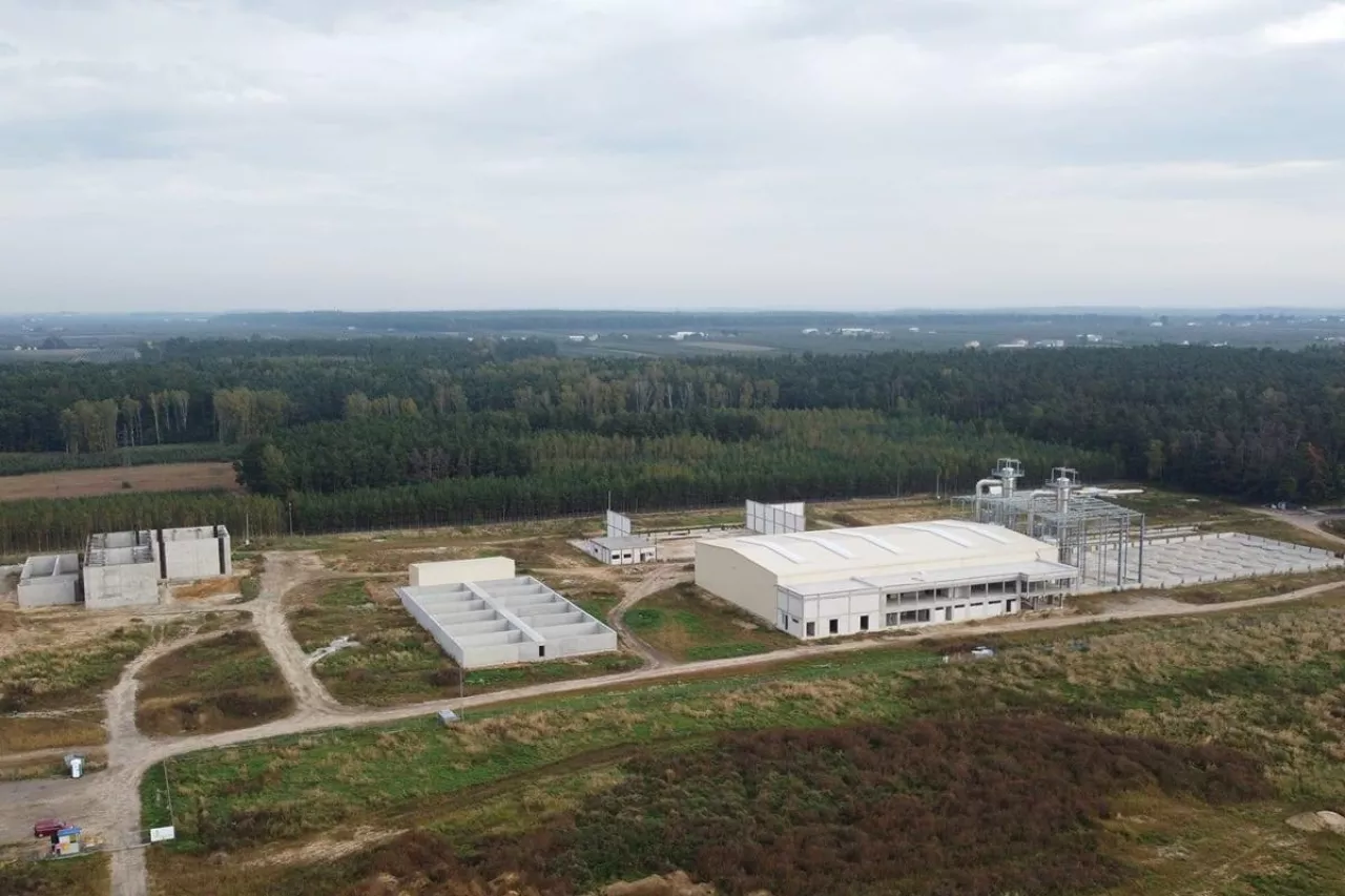 tb fruit brzostowiec