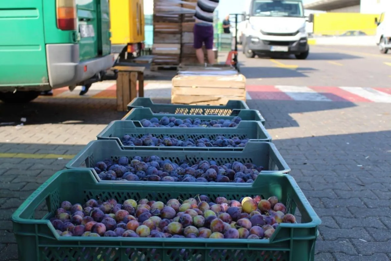 aktualna sytuacja na broniszach