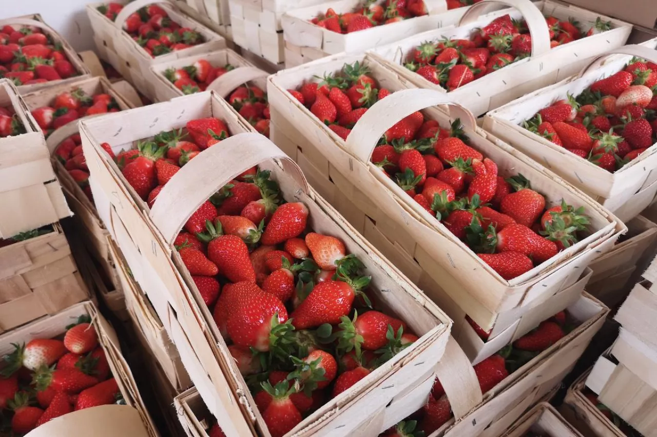 truskawki w łubiankach