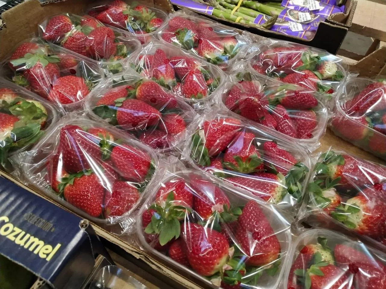 Truskawki - Rynek Hurtowe Bronisze - 02.03.2020