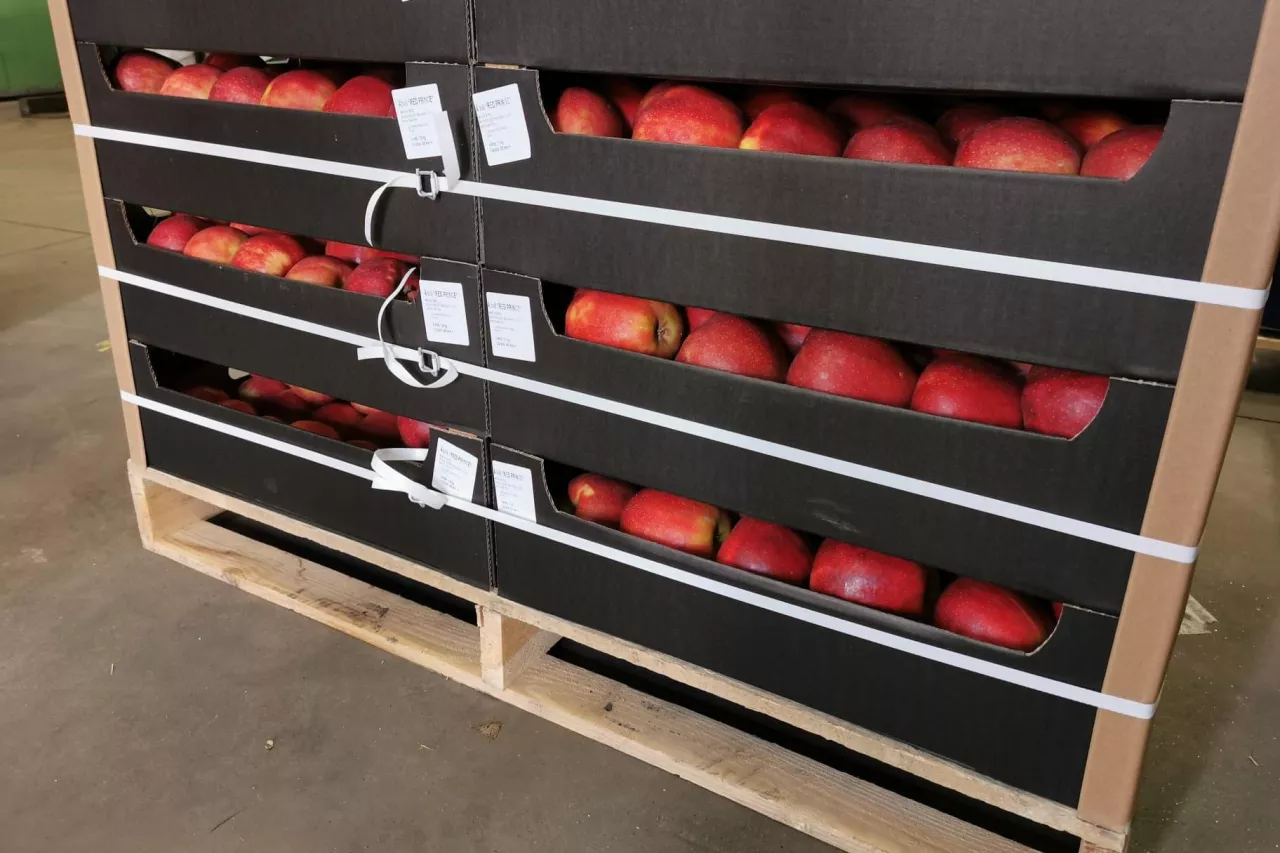 Jonagored na eksport