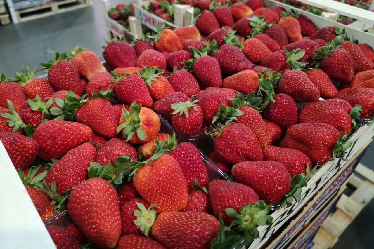 truskawki importowane