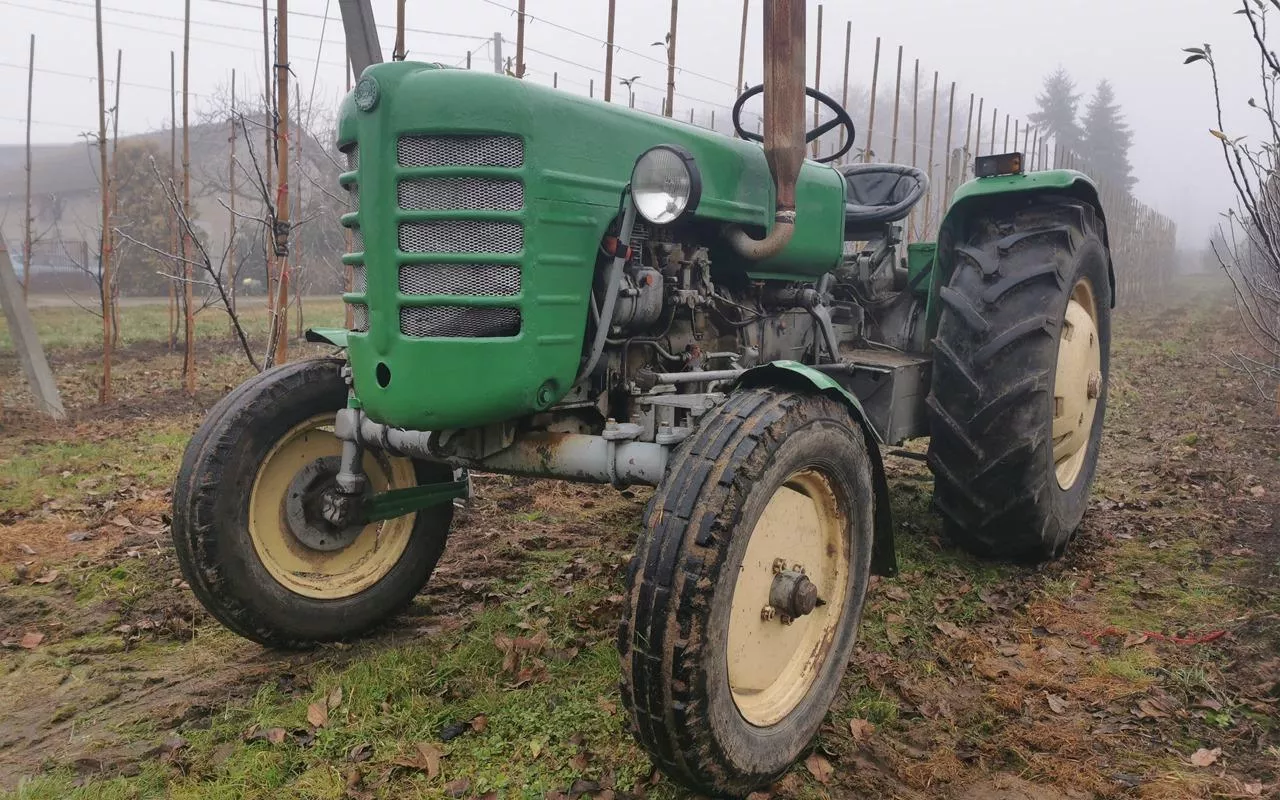 ciągnik ursus klasyk w gospodarstwie sadowniczym